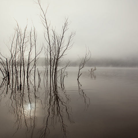 Simon Harsent