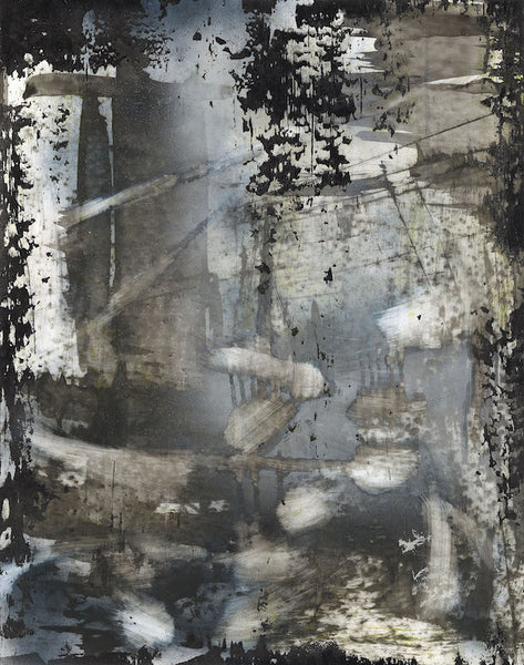 Natural Selection # 134, 2014. Chris Trueman