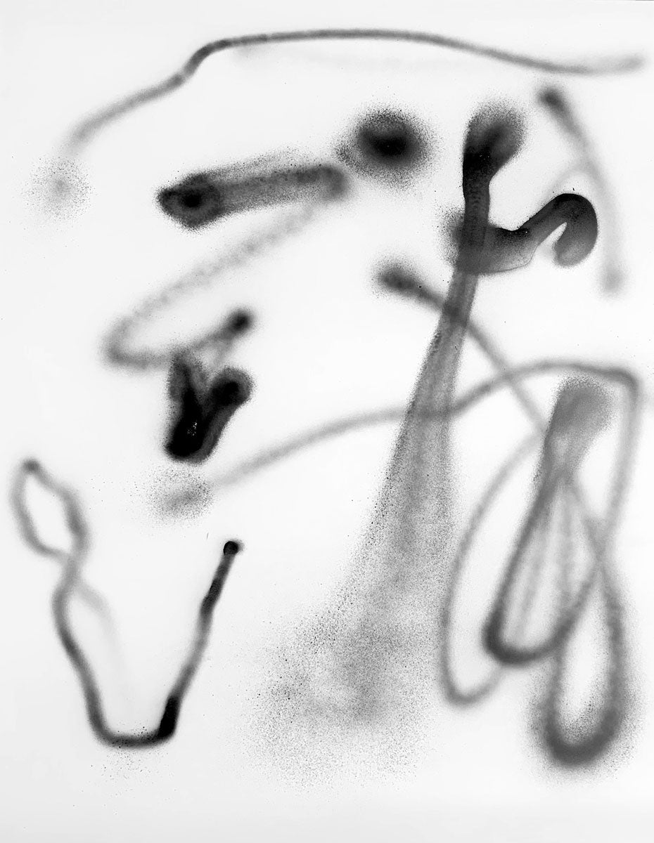 BW2, 2019. Chris Trueman