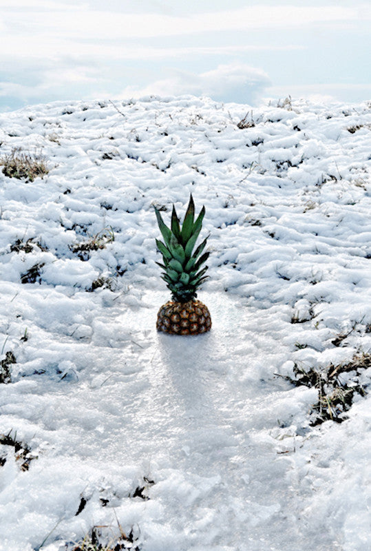 ll vese sus pertenencias III, 2010. Margarita Dittborn Valle