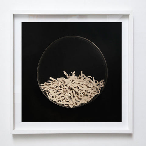Llenar elVacio Tijeras, Mariana Tocornal 2012