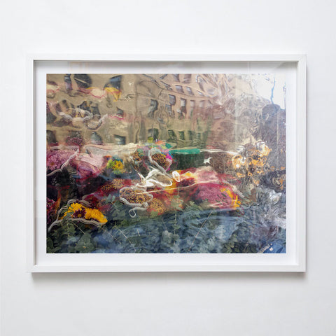 Deli Garden Manhattan, 2015. Suzy Kunz
