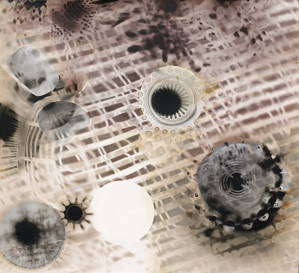 Photogram, 2012. Suzy Kunz