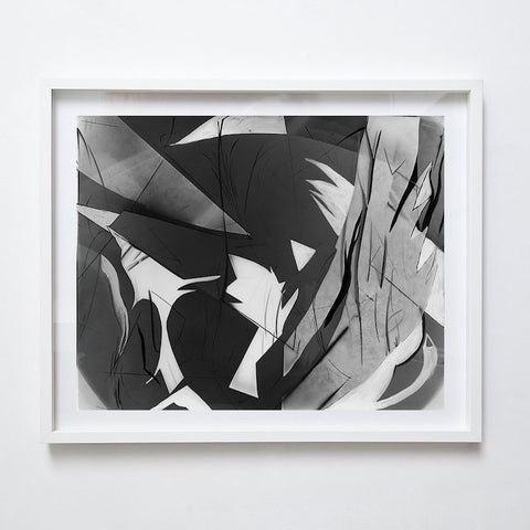 Photogram II, 2000. Suzy Kunz