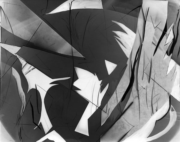 Photogram II, 2000. Suzy Kunz