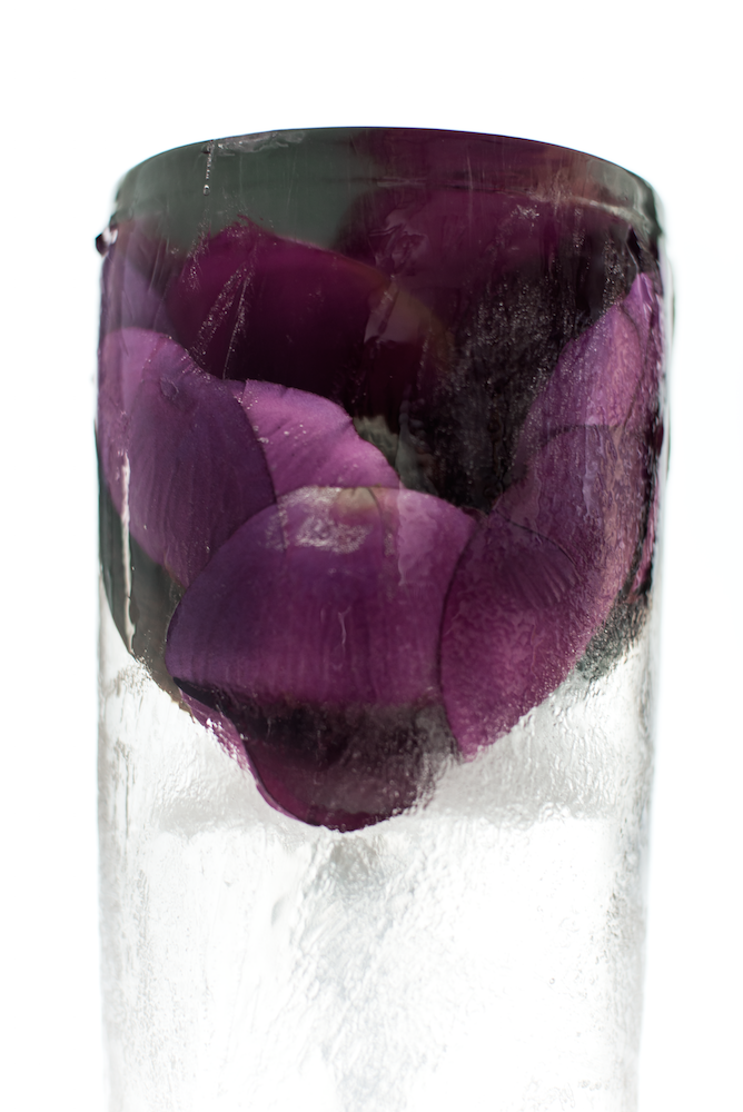 Frozen Magnolia III, 2016. Tamika Keioskie